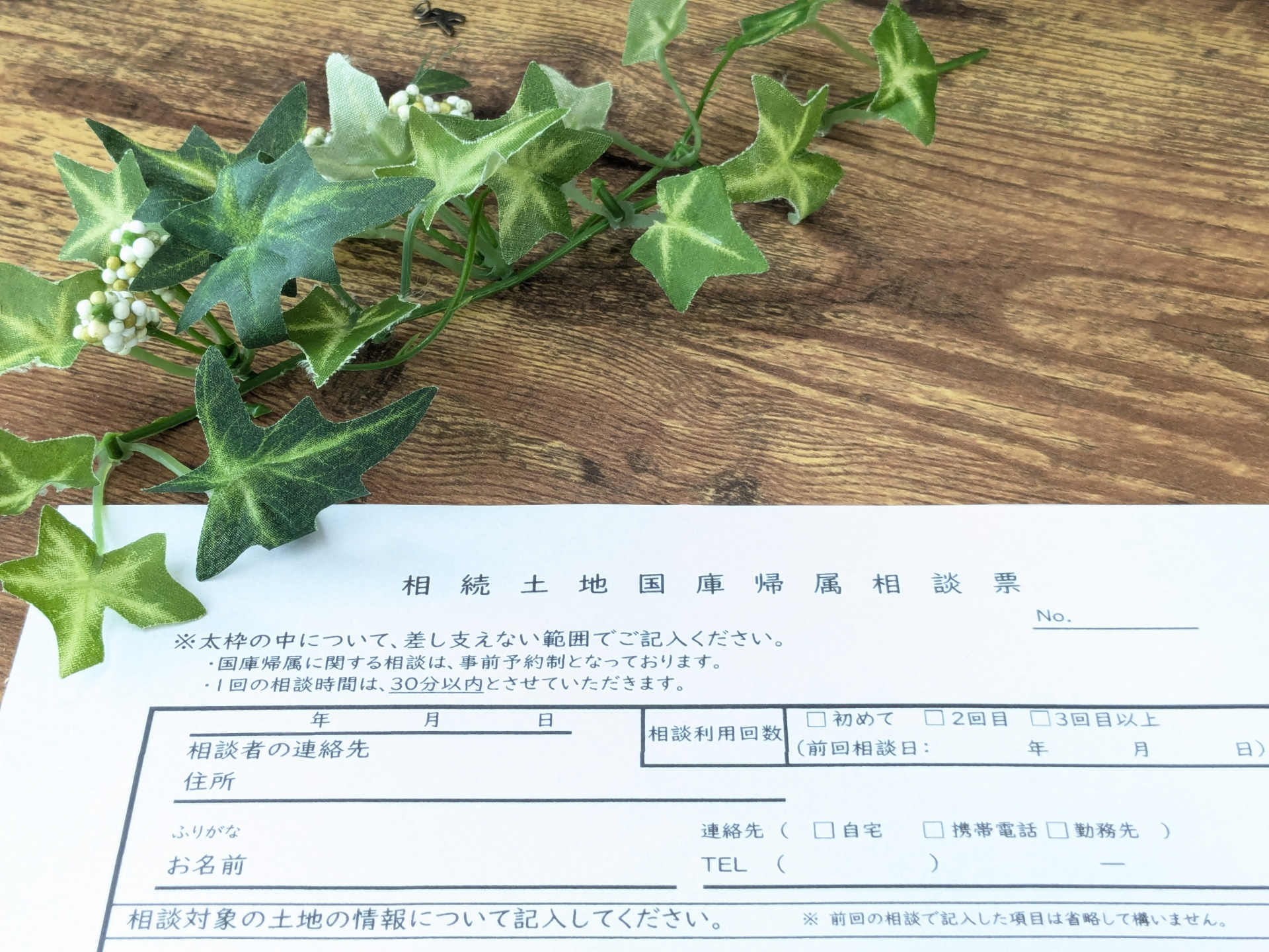 相続土地国庫帰属制度とは？山林の所有権を手放すための条件と手続きを解説